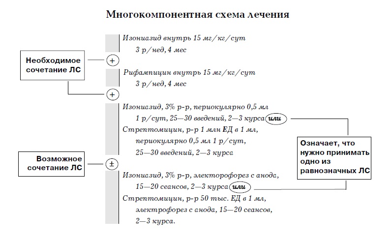 Схема лечения везикулита